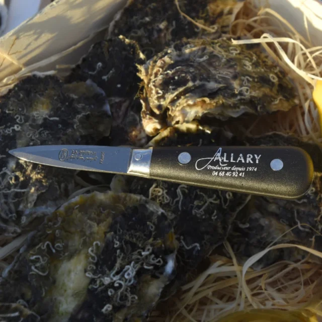 La Cave à Huîtres : Votre Restaurant De Crustacés Installé à Caen